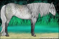 Horse Color:Silver Black Chinchilla 