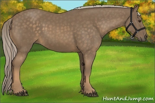 Horse Color:Chocolate Palomino