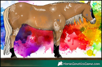 Horse Color:Gray Palomino Splash