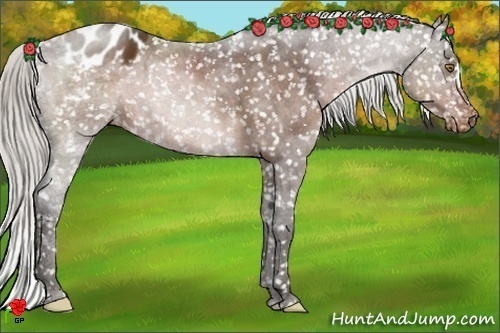 Horse Color:Silver Brown Snowflake Varnish