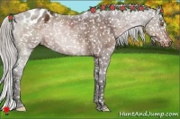 Horse Color:Silver Brown Snowflake Varnish