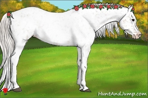 Horse Color:White Spotted Silver Brown Appaloosa 