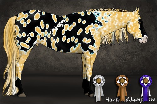 Horse Color:Watercolor Liver Chestnut Sabino Splash Near Leopard 