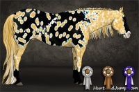 Horse Color:Watercolor Liver Chestnut Sabino Splash Near Leopard 