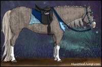 Horse Color:Grullo Sabino Splash  and Silver Grullo Sabino Splash 