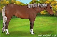 Horse Color:Silver Bay 