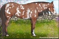 Horse Color:White Spotted Bay Splash Frame Varnish 