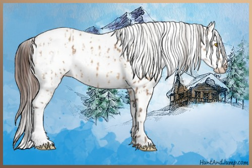 Horse Color:Amber Champagne Leopard and Gray Amber Champagne Leopard