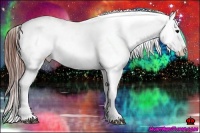 Horse Color:Grullo Blanket