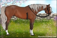 Horse Color:Silver Bay Splash 