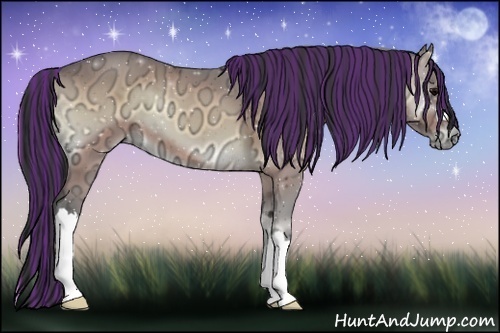 Horse Color:Painted Buckskin Ice Onyx