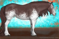 Horse Color:White Spotted Chocolate Black