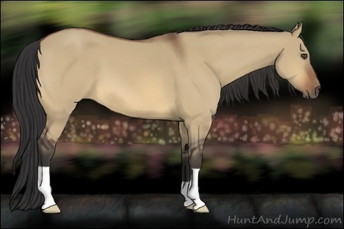 Horse Color:Bay Dun
