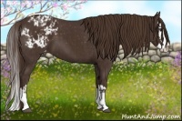 Horse Color:Liver Chestnut Sabino Splash Varnish and Liver Chestnut Sabino Splash Varnish