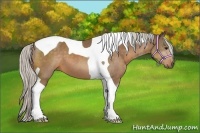 Horse Color:Silver Buckskin Tobiano