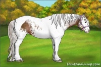 Horse Color:White Spotted Silver Brown Tobiano 