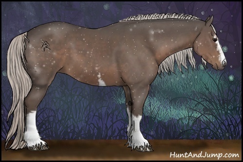 Horse Color:White Spotted Silver Black 