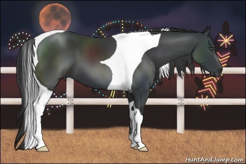 Horse Color:Black Tobiano