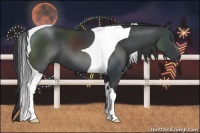 Horse Color:Black Tobiano 