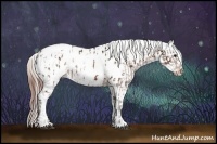 Horse Color:Silver Brown Blanket  and Bay Splash Tobiano Varnish 