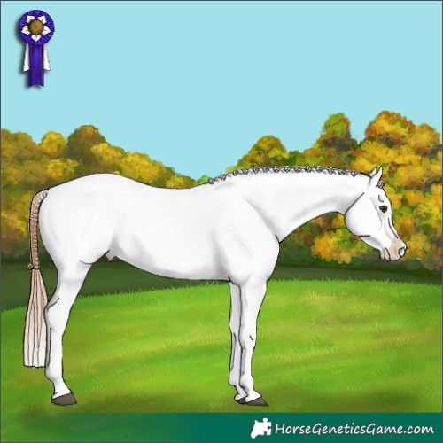 Horse Color:Red Roan Varnish 
