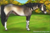 Horse Color:Brown Onyx