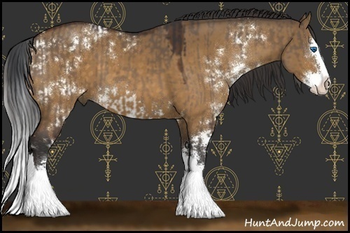 Horse Color:Brown Dun Sabino Splash  and Buckskin Dun Sabino Splash 