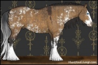 Horse Color:Brown Dun Sabino Splash and Buckskin Dun Sabino Splash