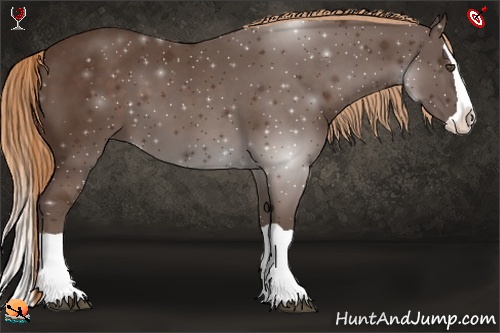 Horse Color:Liver Chestnut Splash 