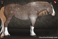 Horse Color:Liver Chestnut Splash