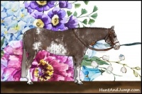 Horse Color:White Spotted Liver Chestnut Sabino Splash  and Liver Chestnut Sabino Splash Frame Appaloosa 