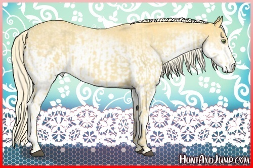 Horse Color:Palomino and White Spotted Palomino
