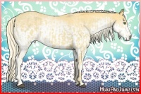 Horse Color:Palomino and White Spotted Palomino