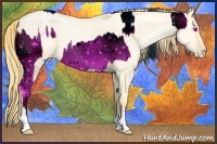 Horse Color:ERROR: UNKNOWN ANOMALY and Buckskin Roan Pearl Dun 