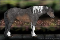 Horse Color:Buckskin Tobiano