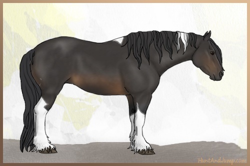 Horse Color:Buckskin Tobiano 