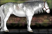 Horse Color:White Spotted Silver Black Chinchilla Splash Rabicano