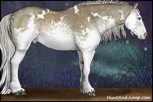Horse Color:White Spotted Silver Grullo Splash Rabicano 