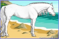 Horse Color:White Spotted Silver Sable Cream Champagne Chinchilla Tobiano Appaloosa 
