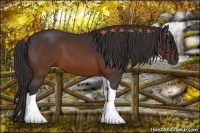 Horse Color:Buckskin Tobiano