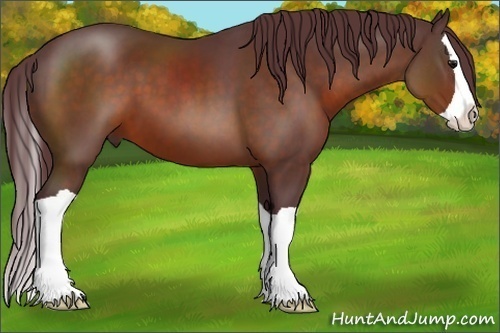 Horse Color:Chocolate Bay Splash