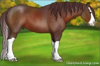 Horse Color:Chocolate Bay Splash