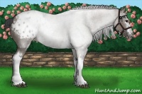 Horse Color:White Spotted Grullo Sabino Blanket 