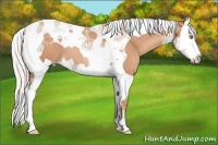 Horse Color:Silver Amber Champagne Splash Tobiano 