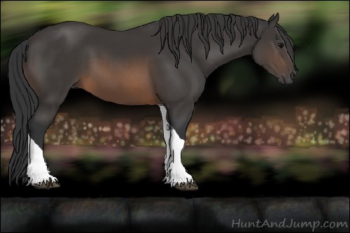 Horse Color:Buckskin Tobiano 