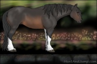 Horse Color:Buckskin Tobiano 