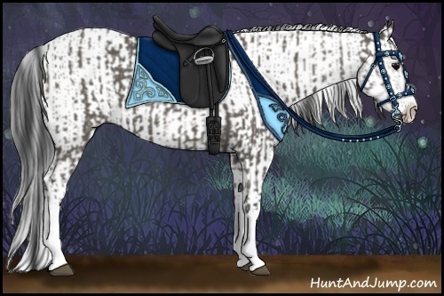 Horse Color:Grullo Sabino Splash  and Grullo Sabino Splash 