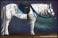 Horse Color:Grullo Sabino Splash  and Grullo Sabino Splash 