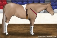 Horse Color:Black Pearl Tobiano 