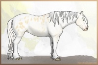 Horse Color:Silver Sable Cream Champagne Roan Dun Splash Tobiano Frame Appaloosa Rabicano 
